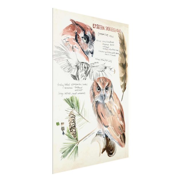 Prints flower Wilderness Journal - Owl
