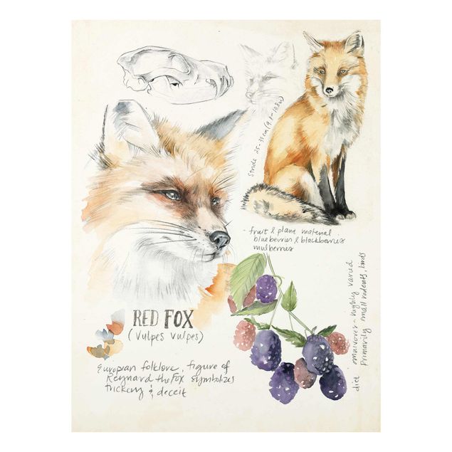 Orange print Wilderness Journal - Fox