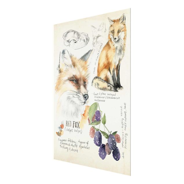 Prints Wilderness Journal - Fox