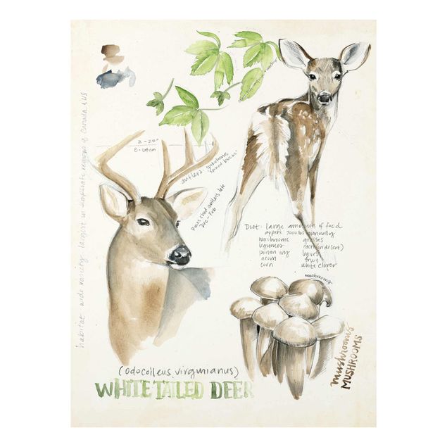 Prints flower Wilderness Journal - Deer