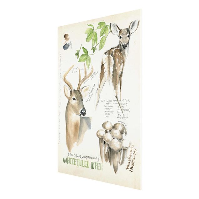 Prints brown Wilderness Journal - Deer