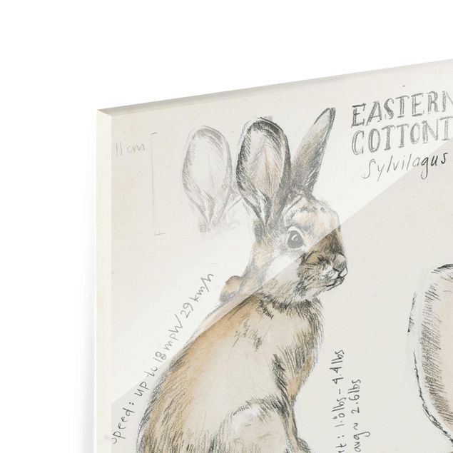 Magnettafel Glas Wilderness Journal - Rabbit