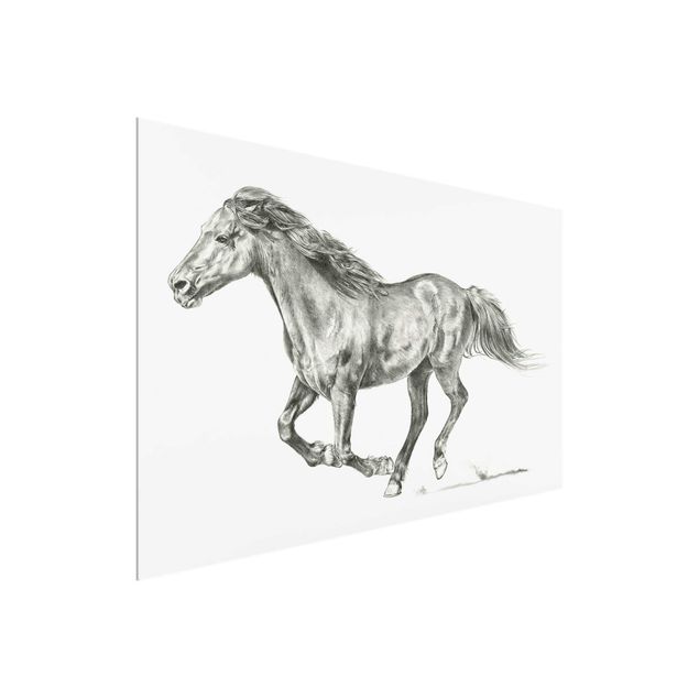 Glass prints pieces Wild Horse Trial - Mare
