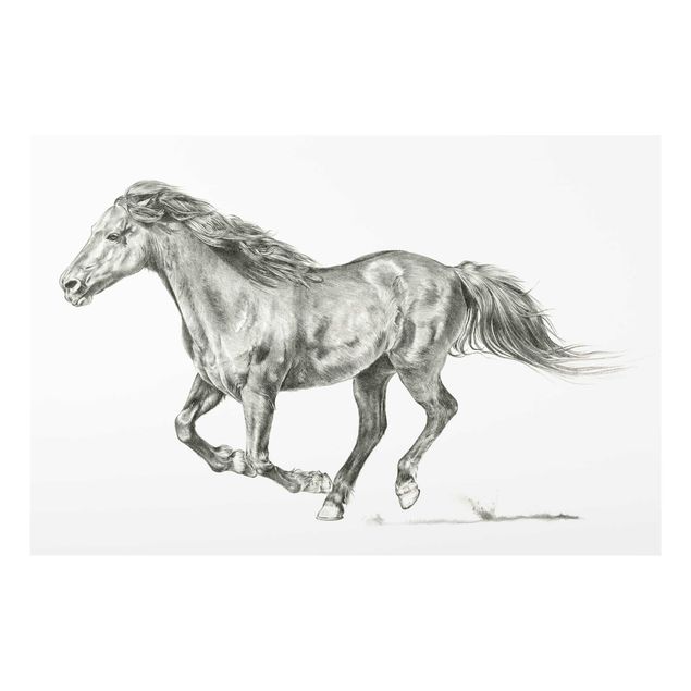 Animal canvas Wild Horse Trial - Mare
