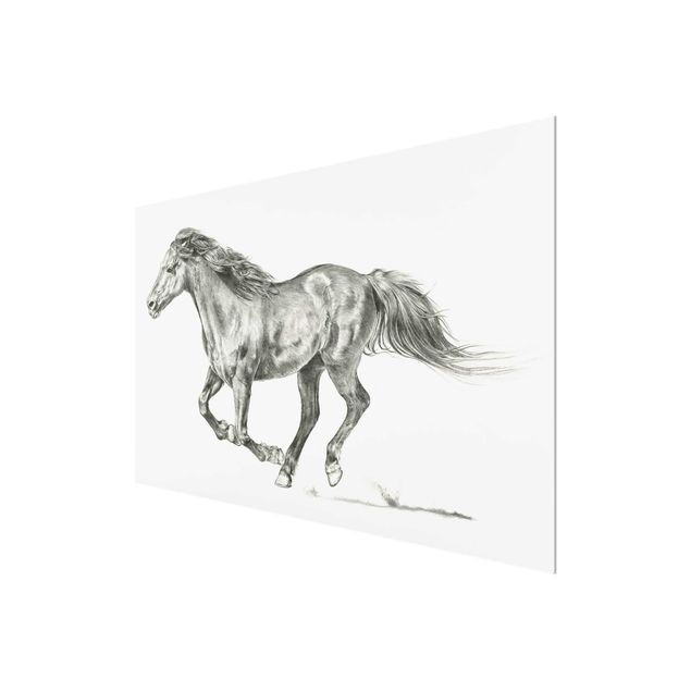 Black and white wall art Wild Horse Trial - Mare