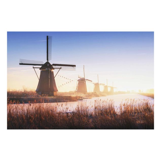 Prints Windmills Of Kinderdijk