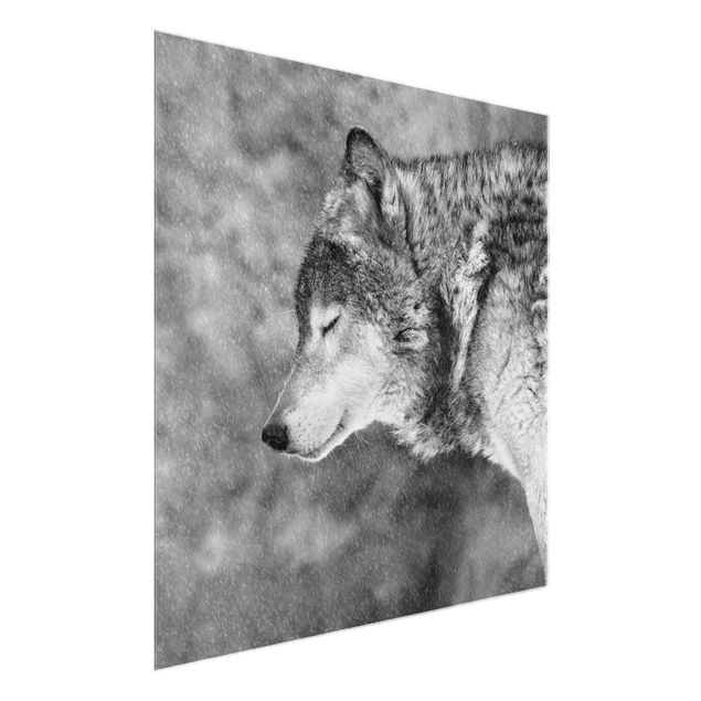 Prints animals Winter Wolf