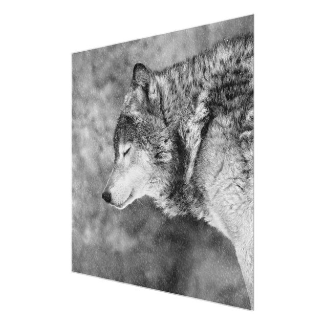 Prints Winter Wolf