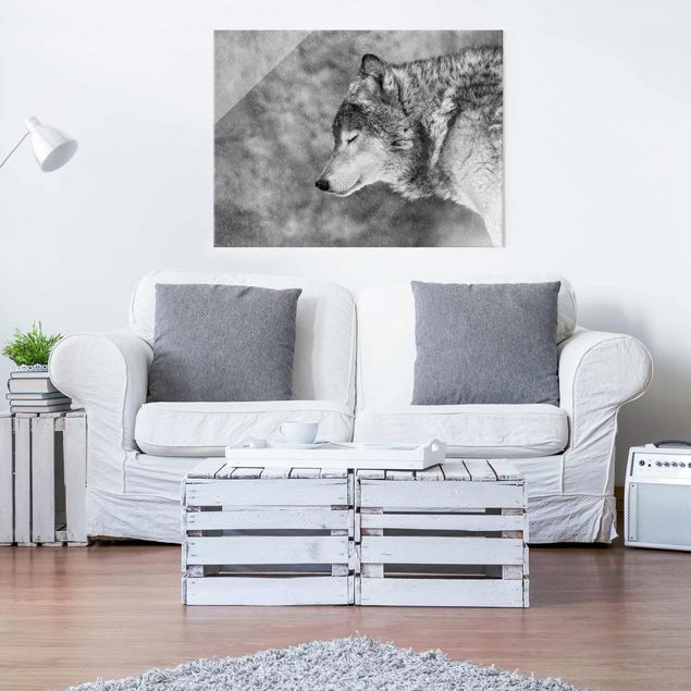 Glass prints black and white Winter Wolf