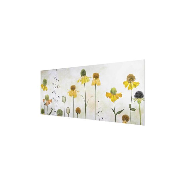 Glas Magnetboard Delicate Helenium Flowers