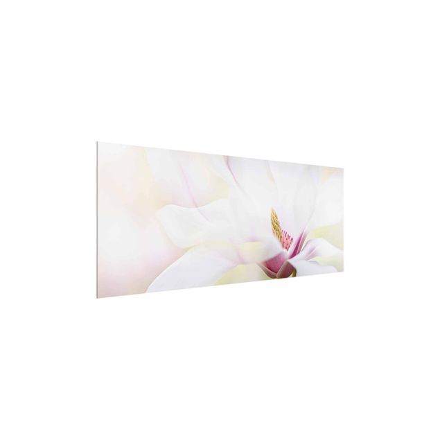 Prints flower Delicate Magnolia Blossom