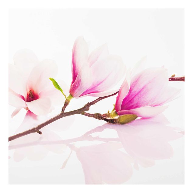 Pink art canvas Delicate Magnolia Branch