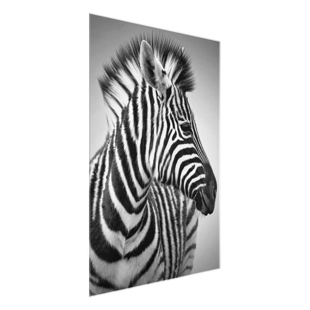 Glass prints pieces Zebra Baby Portrait II