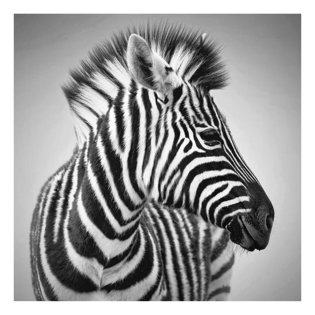 Prints animals Zebra Baby Portrait II