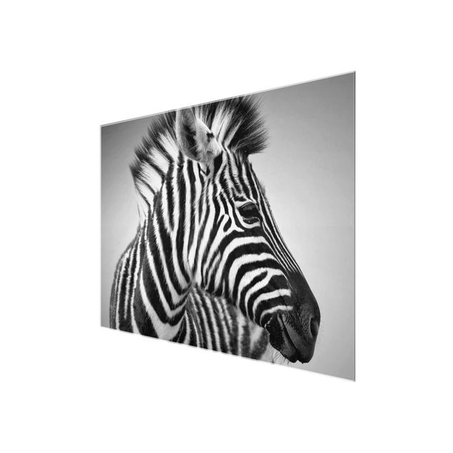 Prints black and white Zebra Baby Portrait II