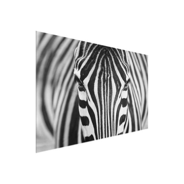 Glass prints pieces Zebra Look