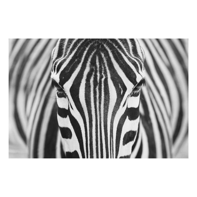 Animal canvas Zebra Look