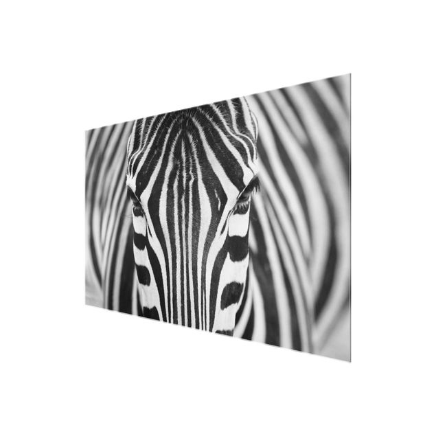 Black and white wall art Zebra Look