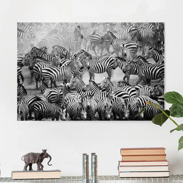 Zebra wall print Zebra herd II