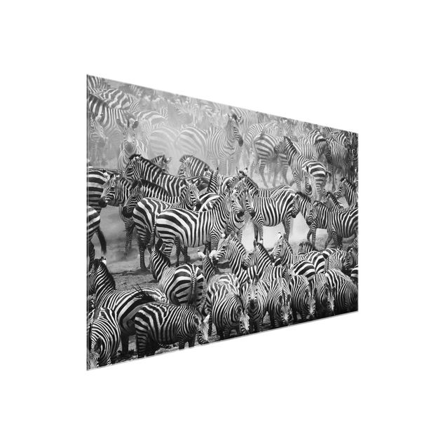 Glass prints pieces Zebra herd II