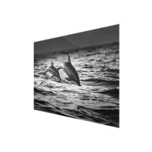 Black and white art Two Jumping Dolphins