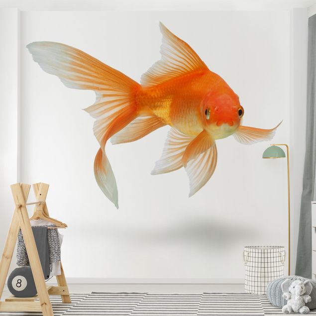 Kids room decor Goldfish Is Watching You