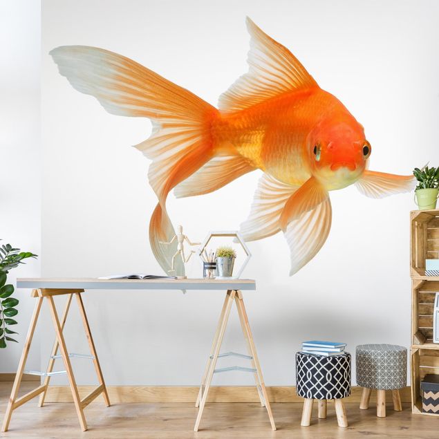 Contemporary wallpaper Goldfish Is Watching You