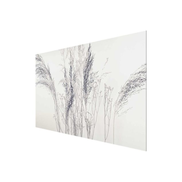 Monika Strigel Art prints Variations Of Grass
