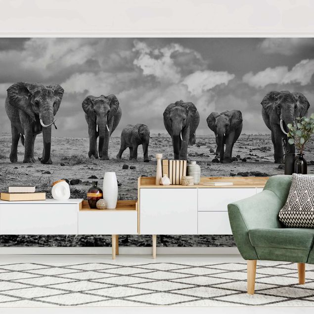 Wallpapers elefant Large Familiy