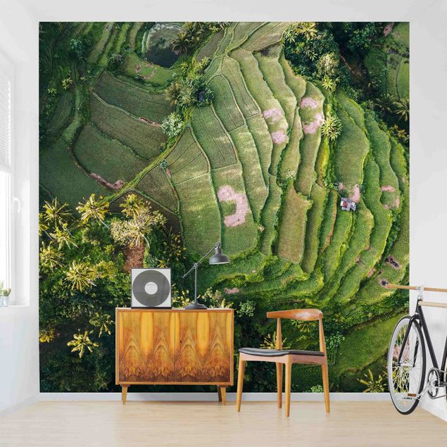 Modern wallpaper designs Green Terraces
