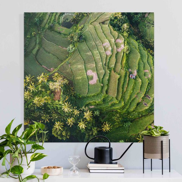 Prints landscape Green Terraces