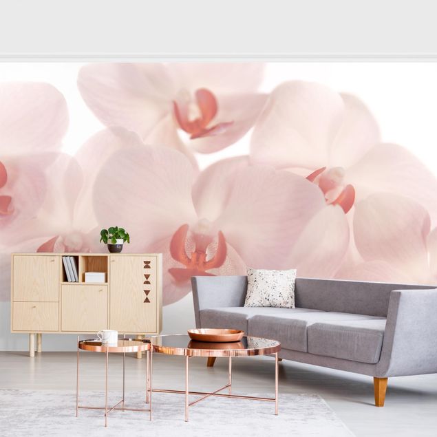 Modern wallpaper designs Bright Orchid Flower Wallpaper - Svelte Orchids