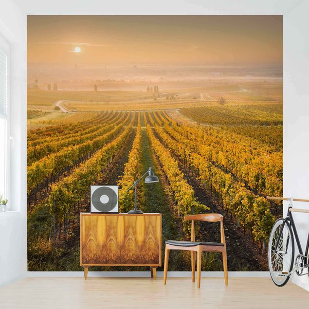 Modern wallpaper designs Autumnal Vineyards Near Vienna