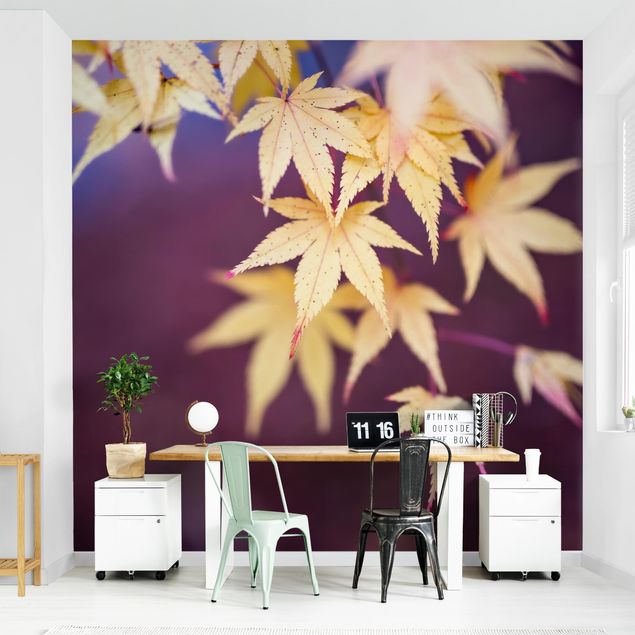 Wallpapers modern Autumn Maple Tree