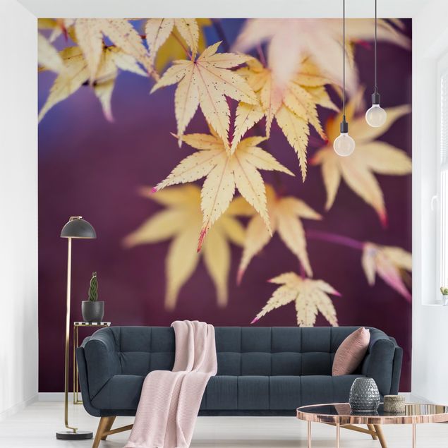 Wallpapers skylines Autumn Maple Tree