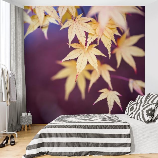 Self adhesive wallpapers Autumn Maple Tree