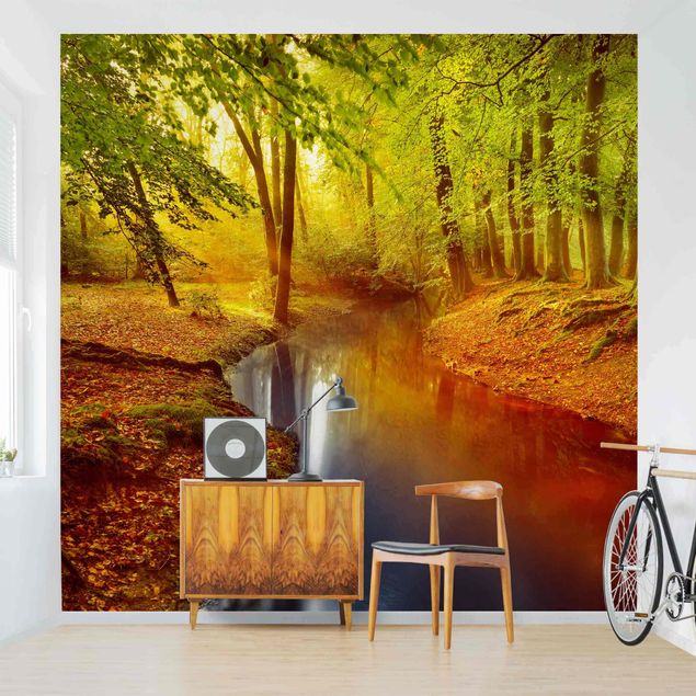 Wallpapers modern Autumn Forest