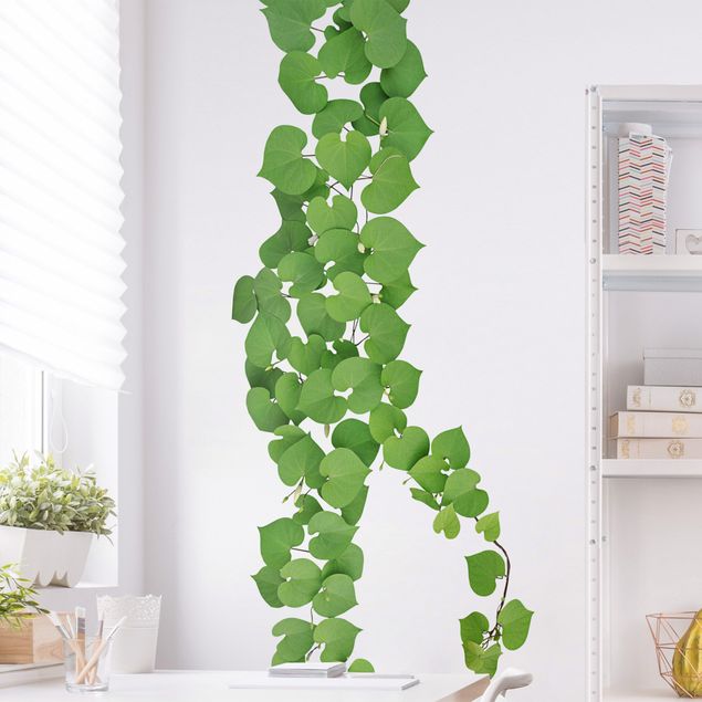 Kitchen Heart-shaped leaves tendril