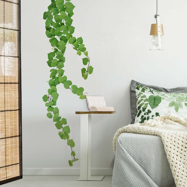 Plant wall decals Heart-shaped leaves tendril