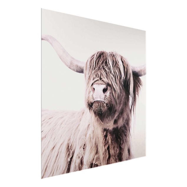 Animal canvas Highland Cattle Frida In Beige