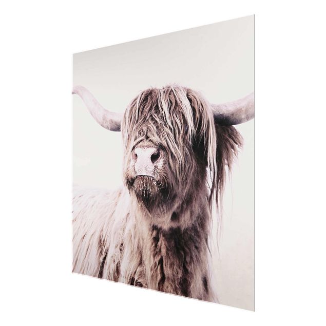 Monika Strigel Art prints Highland Cattle Frida In Beige
