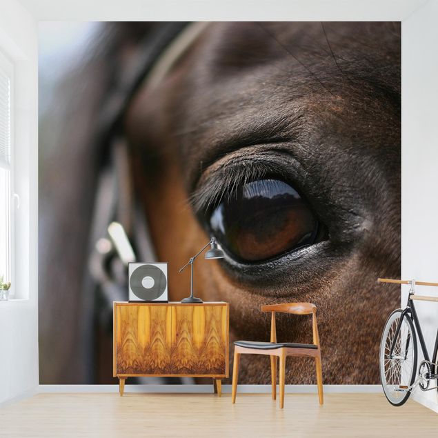 Pony wallpaper Horse Eye
