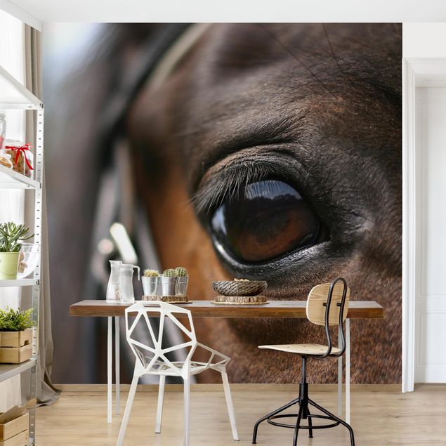 Contemporary wallpaper Horse Eye
