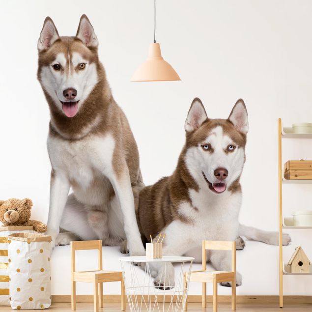 Cute dog wallpaper Husky Pair