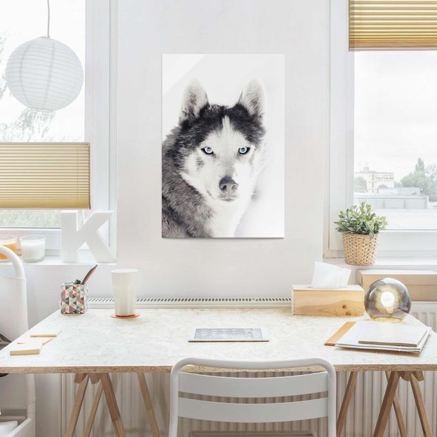 Dog print Husky Portrait
