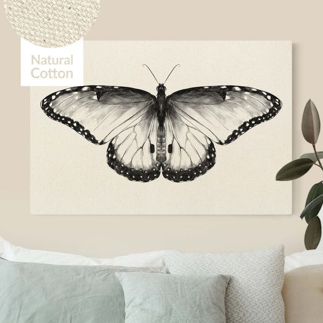Butterfly framed art Illustration Flying Common Morpho Black