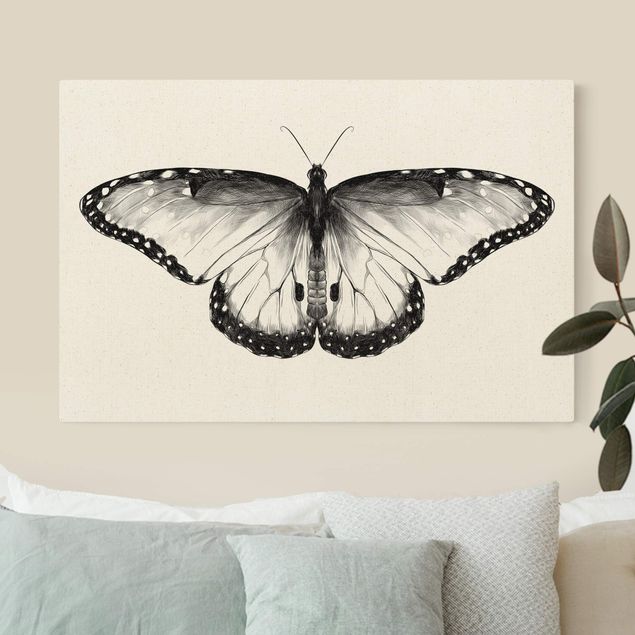 Butterfly canvas art Illustration Flying Common Morpho Black