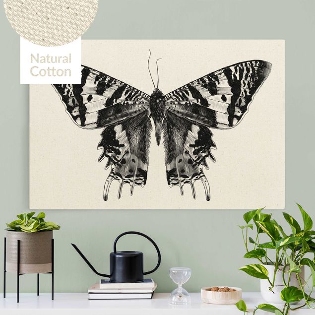 Butterfly print Illustration Flying Madagascan Butterfly