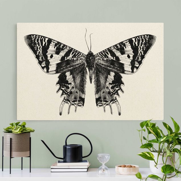 Butterfly canvas Illustration Flying Madagascan Butterfly
