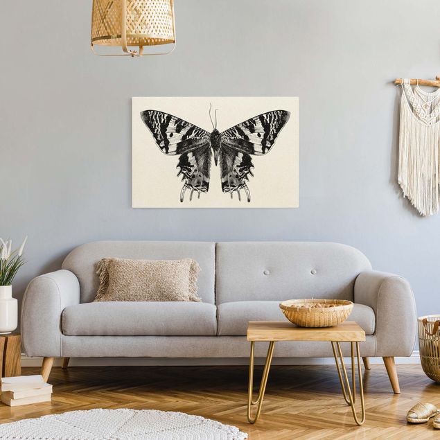 Prints animals Illustration Flying Madagascan Butterfly
